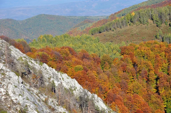 Őszre kelve. Színes őszi erdős táj, a hegyek között — Stock Fotó