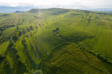 Parlak yeşil tepelerin hava manzarası. Transilvanya, Romanya, insansız hava aracı bakış açısı