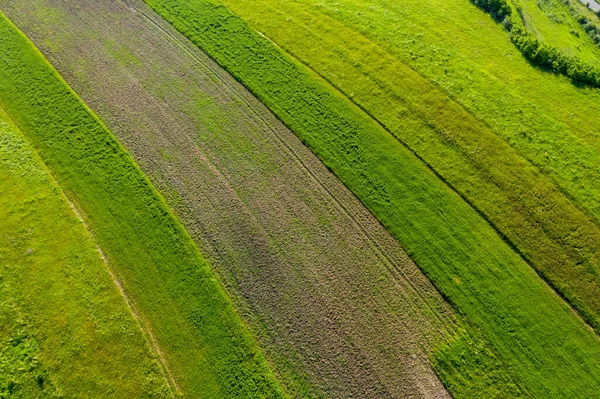 Аерофотозйомка Зеленого Сільськогосподарського Поля — стокове фото