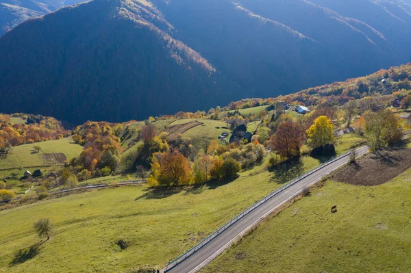 Воздушный Вид Эпическую Сельскую Дорогу Осенний Лес Сверху Точка Зрения — стоковое фото