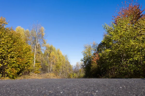 Asphaltierte Straße Herbstwald Vor Blauem Himmel — Stockfoto