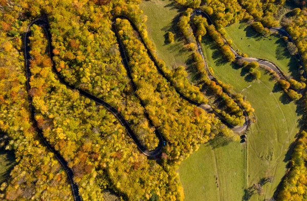 壮大なカラフルな秋の森の曲がりくねった道 蛇紋岩 ビューのドローンポイントの空中ビュー — ストック写真