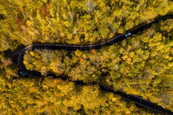 Luchtfoto Boven Uitzicht Epische Kleurrijke Herfst Bos Kronkelende Weg Serpentijn — Stockfoto