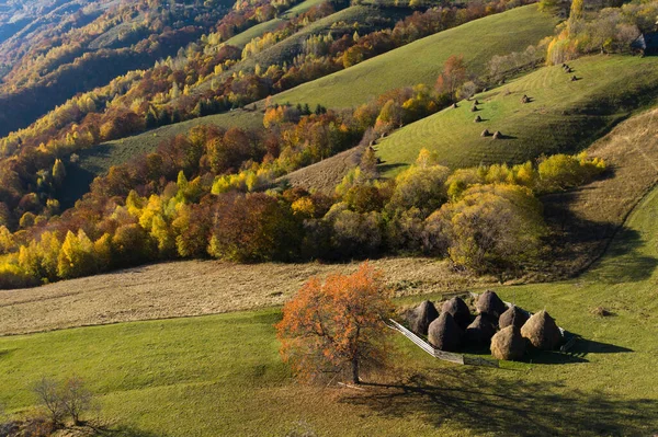 上からの季節の秋の田舎のパノラマ 空中ドローンの視点 — ストック写真