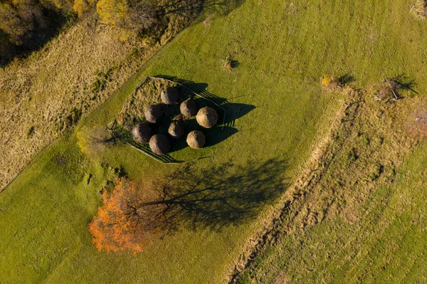 牧草地での秋の干し草のグループは ドローンのビューの上の空中 — ストック写真