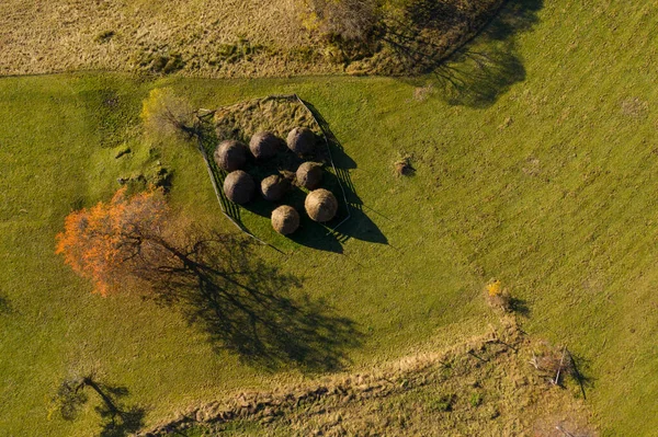 Groep Herfsthooibergen Een Weide Antenne Boven Drone View — Stockfoto