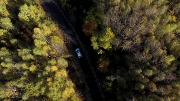Flying White Car Driving Colorful Autumn Forest Road Aerial Drone — Stock Video