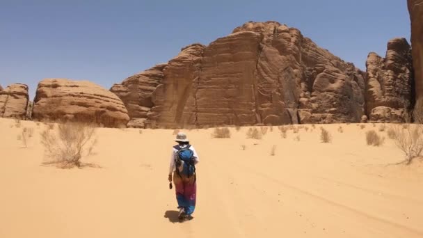 Solitario Sexy Ragazza Trekking Pantaloni Salwar Colorati Nel Deserto Wadi — Video Stock