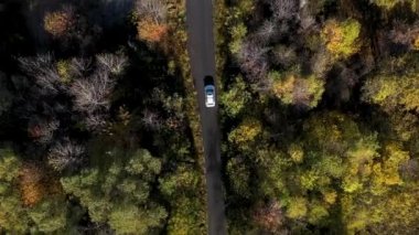 Renkli sonbahar orman yolunda beyaz bir arabanın üzerinde uçmak. Hava aracı bakış açısı