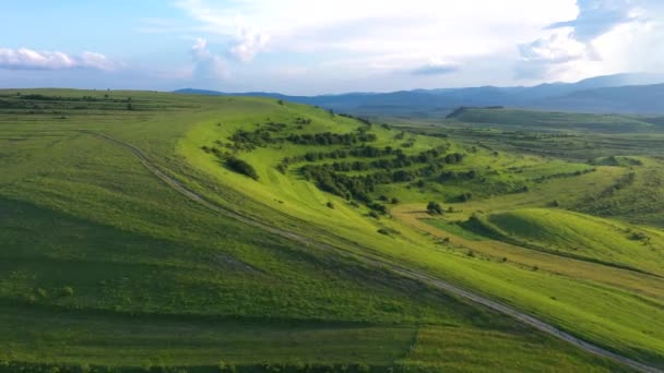 Légi Kilátás Vidék Élénk Zöld Dombok Erdély Románia — Stock videók