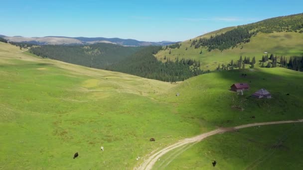 在山上的空中飞行 罗马尼亚喀尔巴阡山脉罗德尼高山景观 — 图库视频影像