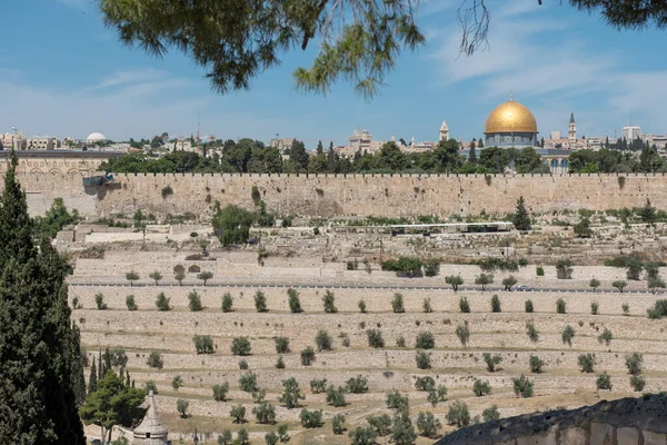 Las Antiguas Murallas Jerusalén Israel Vista Desde Jardín Getsemaní Monte — Foto de Stock