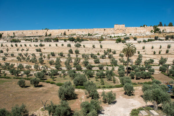 Старые городские стены Иерусалима, Израиль. Вид из Гефсиманского сада, Елеонская гора