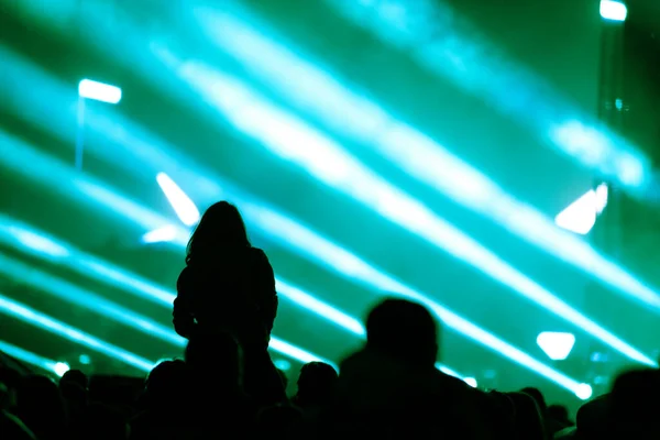 Rear View Silhouette Crowd Arms Outstretched Concert Summer Music Festival — Stock Photo, Image