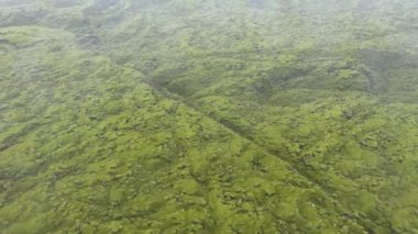 İzlanda 'daki Eldhraun lav sahasının üzerinde uçarken, hava manzarası