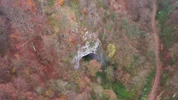 Létání Nad Monumentálním Vchodem Jeskyně Mezi Stromy Dronem — Stock video