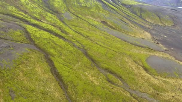 巨大な火山高原の上を飛んで アイスランドの鮮やかな緑の苔で溶岩の流れ — ストック動画
