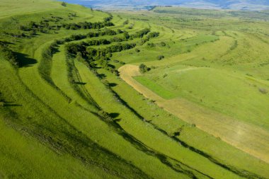 Parlak yeşil tepelerin hava manzarası. Transilvanya, Romanya, insansız hava aracı bakış açısı