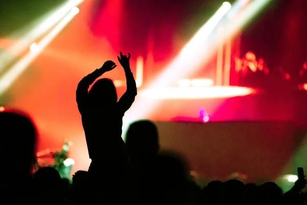 Vue Arrière Silhouette Foule Avec Les Bras Tendus Concert Festival — Photo