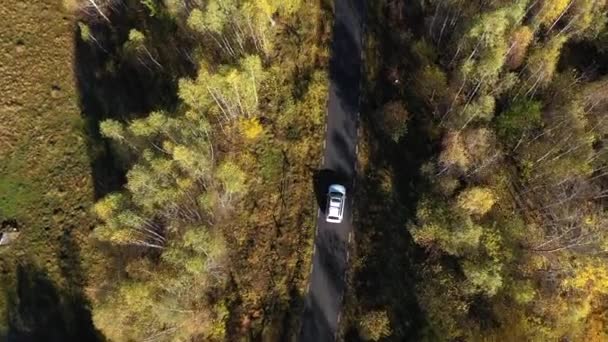 驾驶着一辆白色的汽车在五彩缤纷的秋天森林路上飞驰 空中无人驾驶飞机的观点 — 图库视频影像