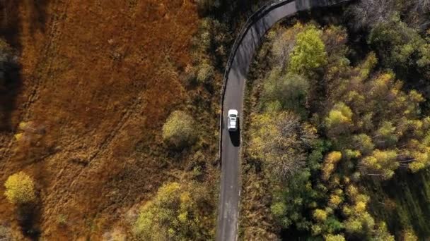 Voler Dessus Une Voiture Blanche Conduisant Sur Route Colorée Forêt — Video