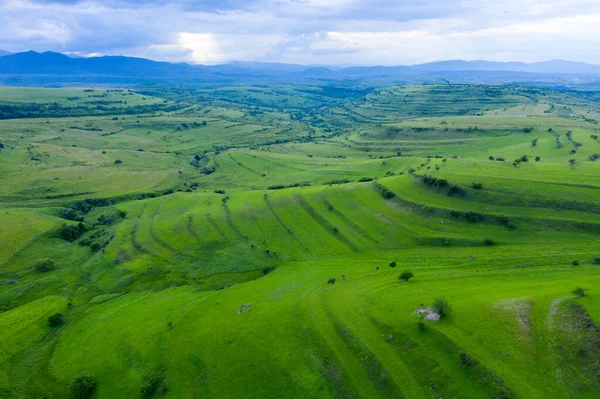 Flygfoto Över Landsbygden Pulserande Gröna Kullar Transsylvanien Rumänien Drönarsynpunkt — Stockfoto
