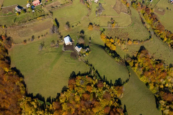 Flygfoto Över Liten Lantlig Gård Och Färgglad Höstskog Drone Synvinkel — Stockfoto