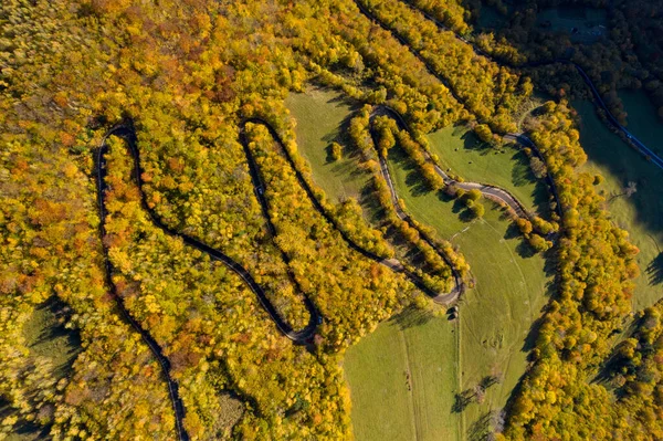 壮大なカラフルな秋の森の曲がりくねった道 蛇紋岩 ビューのドローンポイントの空中ビュー — ストック写真