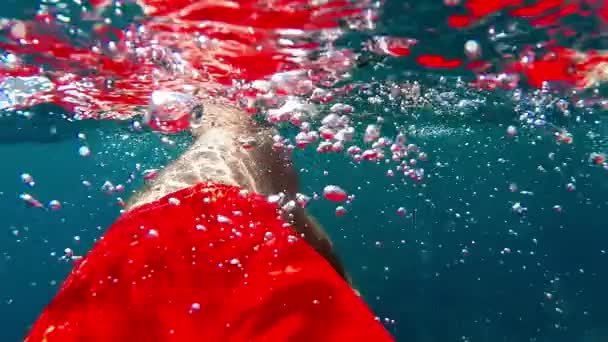 Onderwater zwemmen in de zee in rode badmode - slow motion — Stockvideo