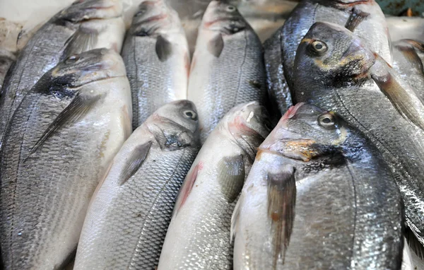 Antecedentes con pescado fresco en un mercado de pescado — Foto de Stock