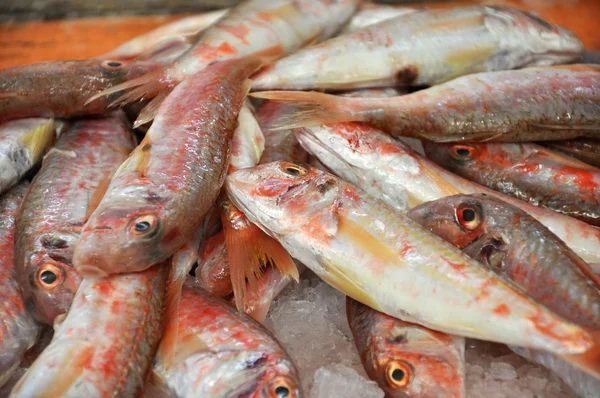 Färsk apelsin fisk i en fiskmarknad — Stockfoto