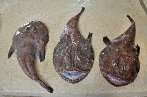어시장에 낚시꾼 물고기 — 스톡 사진