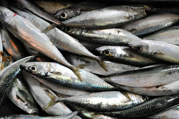 Achtergrond met verse vis in een vismarkt — Stockfoto