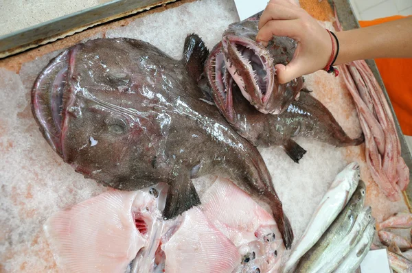 Seeteufel auf dem Fischmarkt — Stockfoto