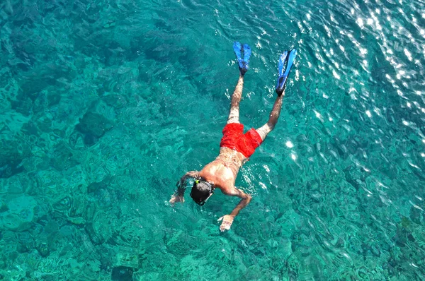 海でシュノーケリングする男 — ストック写真