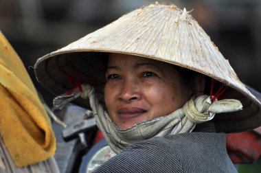 Mekong Deltası, Vietnam