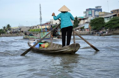 Mekong Deltası, Vietnam