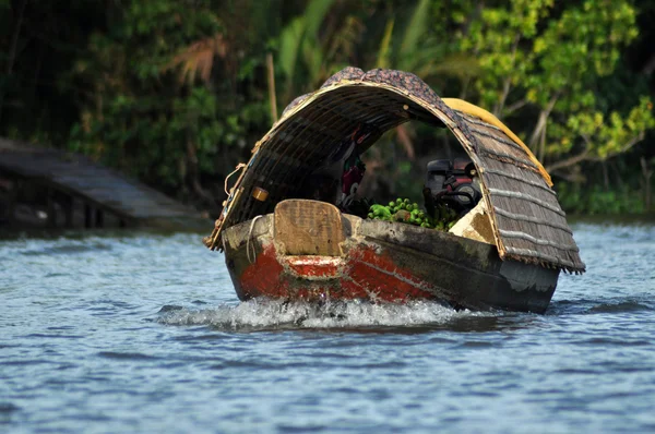 Delta Mekongu, Wietnam — Zdjęcie stockowe
