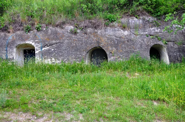 Caves à vin traditionnelles sculptées dans la roche — Photo