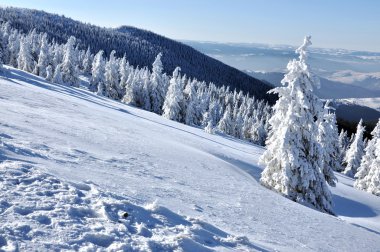 Kış Dağı Manzarası