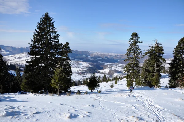 Winter in den Bergen — Stockfoto