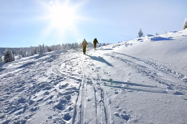 Ski de fond (ski de randonnée) ) — Photo