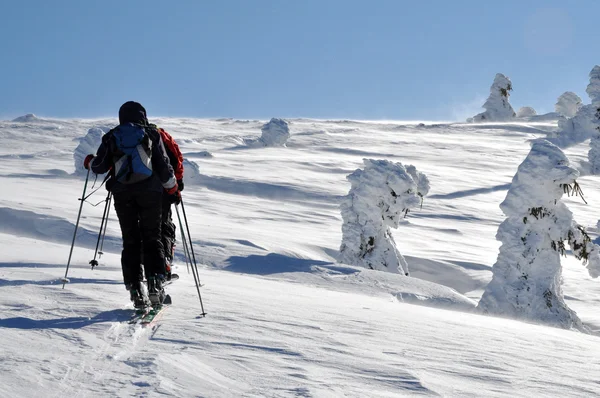 Voltar esquiador país (passeio de esqui ) — Fotografia de Stock
