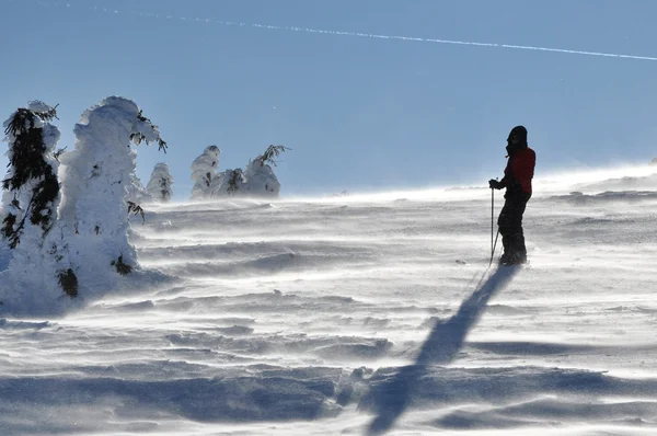Terug land skiër (ski touring) — Stockfoto