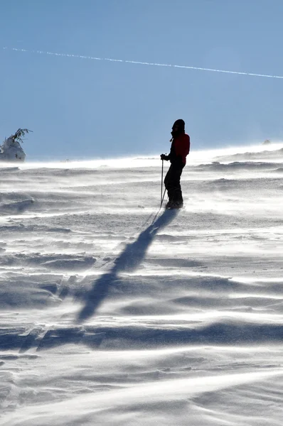 Zpět na lyžích (Skialpinismus) — Stock fotografie