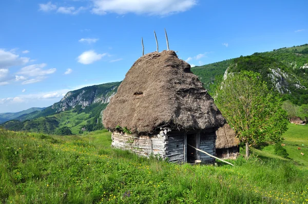 Estável de madeira com telhado de palha nas montanhas — Fotografia de Stock