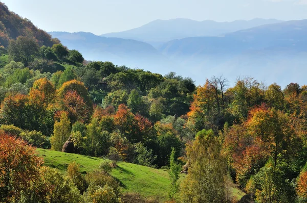 Paysage d'automne de montagne avec forêt colorée — Photo