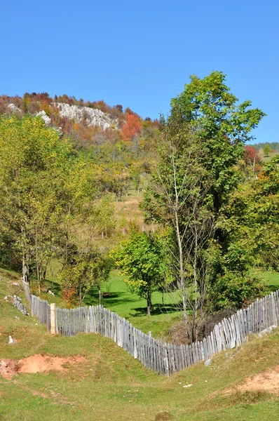 Horská podzimní krajina s barevným lesem — Stock fotografie