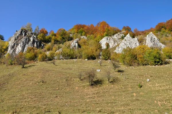 Hegyi őszi táj színes erdőkkel — Stock Fotó