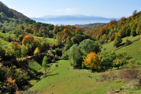 Hegyi őszi táj színes erdőkkel — Stock Fotó